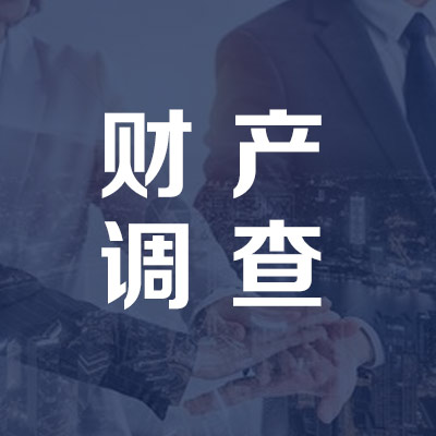 财产调查