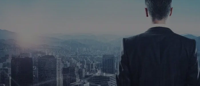 精英团队，成功率高